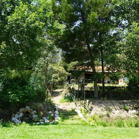 فيلا Quinta Do Vale Grande البرغاريا-ا-فلهه المظهر الخارجي الصورة