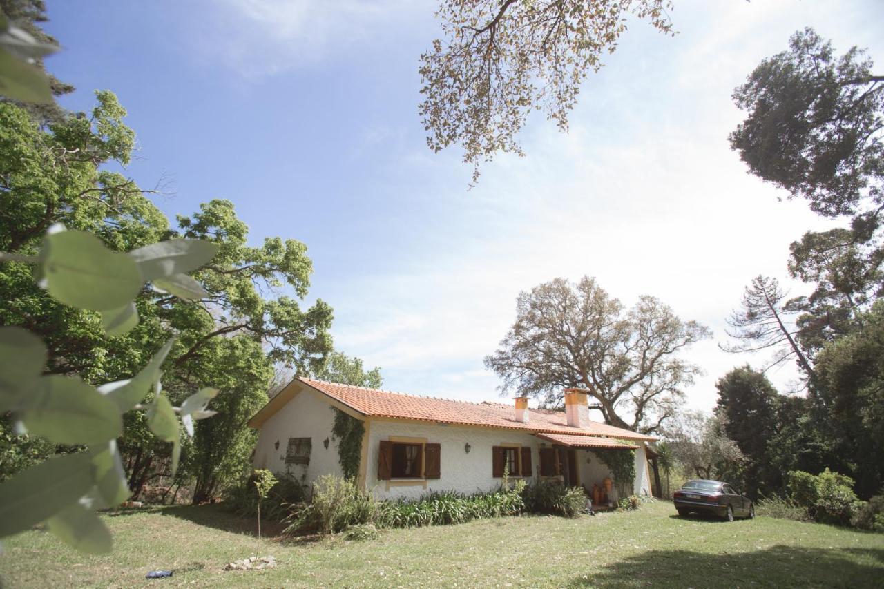 فيلا Quinta Do Vale Grande البرغاريا-ا-فلهه المظهر الخارجي الصورة